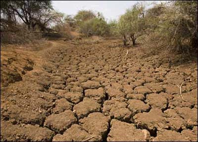 اختصاص ۱ میلیارد تومان برای جبران خشکسالی بخش کشاورزی نجف آباد