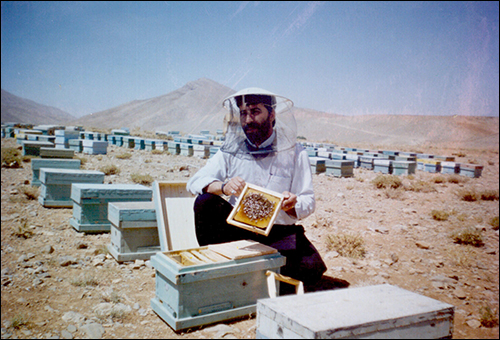 مهمترین مشکلات صنعت زنبورداری ایران از زبان یک نخبه کشوری