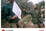 آنچه بر «۱۴معصوم» گذشت