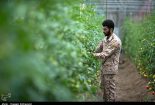 فعالیت های سپاه در سیستان و بلوچستان+ فیلم
