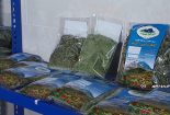 گیاهان-دارویی-155x105 گیاهان-دارویی-155x105 خروج از نجف آباد و اشتغال زایی در فریدونشهر+ فیلم خروج از نجف آباد و اشتغال زایی در فریدونشهر+ فیلم 155x105
