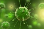 virus-155x105 virus-155x105 ویروس های خطرناک برای سلامت جامعه ویروس ویروس های خطرناک برای سلامت جامعه virus 155x105
