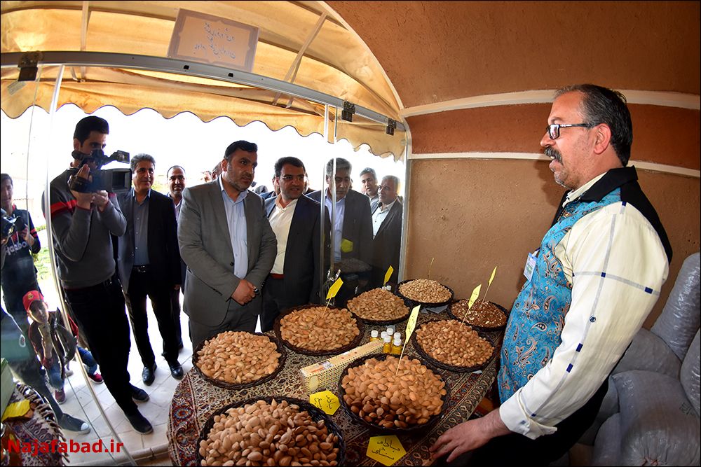 شهرک زنبور عسل و ماهی‌های زینتی در نجف‌آباد ایجاد می شود