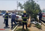 تصادف-مرگبار-در-نجف-آباد-4-155x105 تصادف-مرگبار-در-نجف-آباد-4-155x105 تصادف مرگبار در نجف آباد + تصاویر تصادف مرگبار تصادف مرگبار در نجف آباد + تصاویر 4 155x105