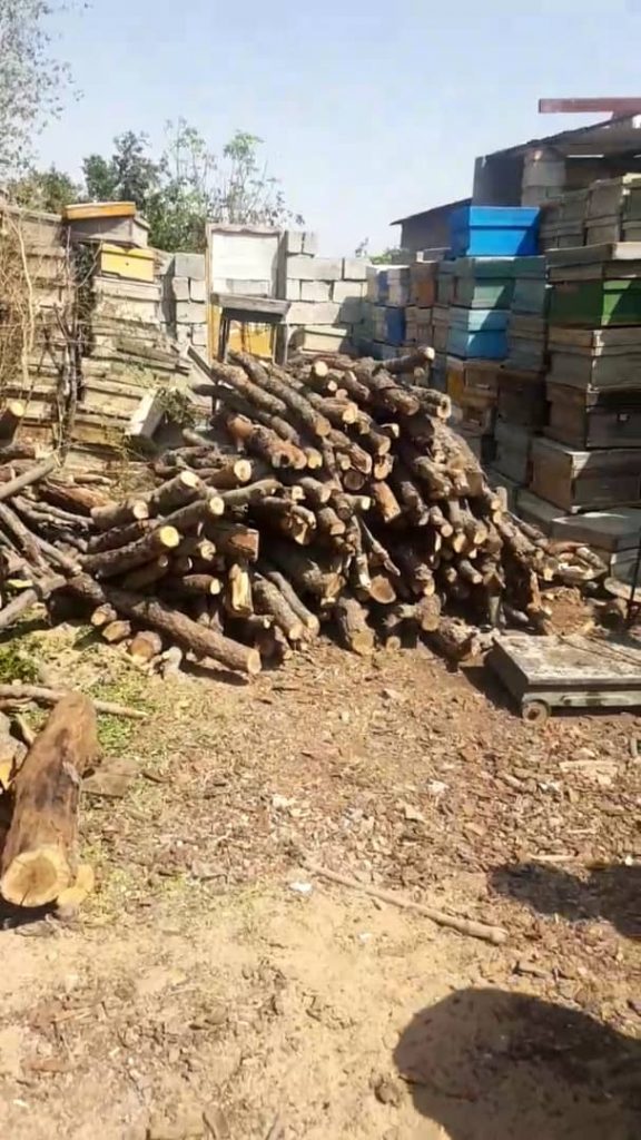 کشف-چوب-بلوط-قاچاق-در-نجف-آباد-1-576x1024 کشف-چوب-بلوط-قاچاق-در-نجف-آباد-1-576x1024 کشف چوب بلوط قاچاق در نجف آباد کشف ۷ تن چوب بلوط قاچاق در نجف آباد+تصاویر کشف ۷ تن چوب بلوط قاچاق در نجف آباد+تصاویر 1 576x1024