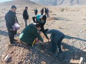 بذر کاری در 900 هکتار از اراضی نجف آباد توسط اعضای کنگره 60