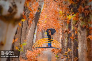 پاییز ۱۴۰۰ در نجف آباد از دریچه دوربین رضا قلیچ خانی 