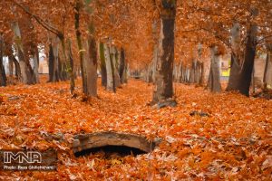 پاییز ۱۴۰۰ در نجف آباد از دریچه دوربین رضا قلیچ خانی 