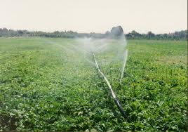 تخصیص بیش از دو هزار و پانصد میلیون تومان به امور آب و خاک جهاد کشاورزی نجف آباد