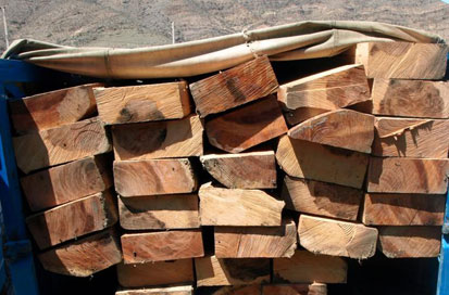 کشف و ضبط ۲۰ تن چوب بلوط قاچاق در نجف آباد