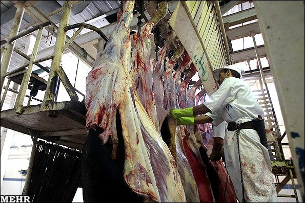 کشتار بیش از ۲۲  هزار تن گوشت طیور و دام در کشتارهای نجف آباد
