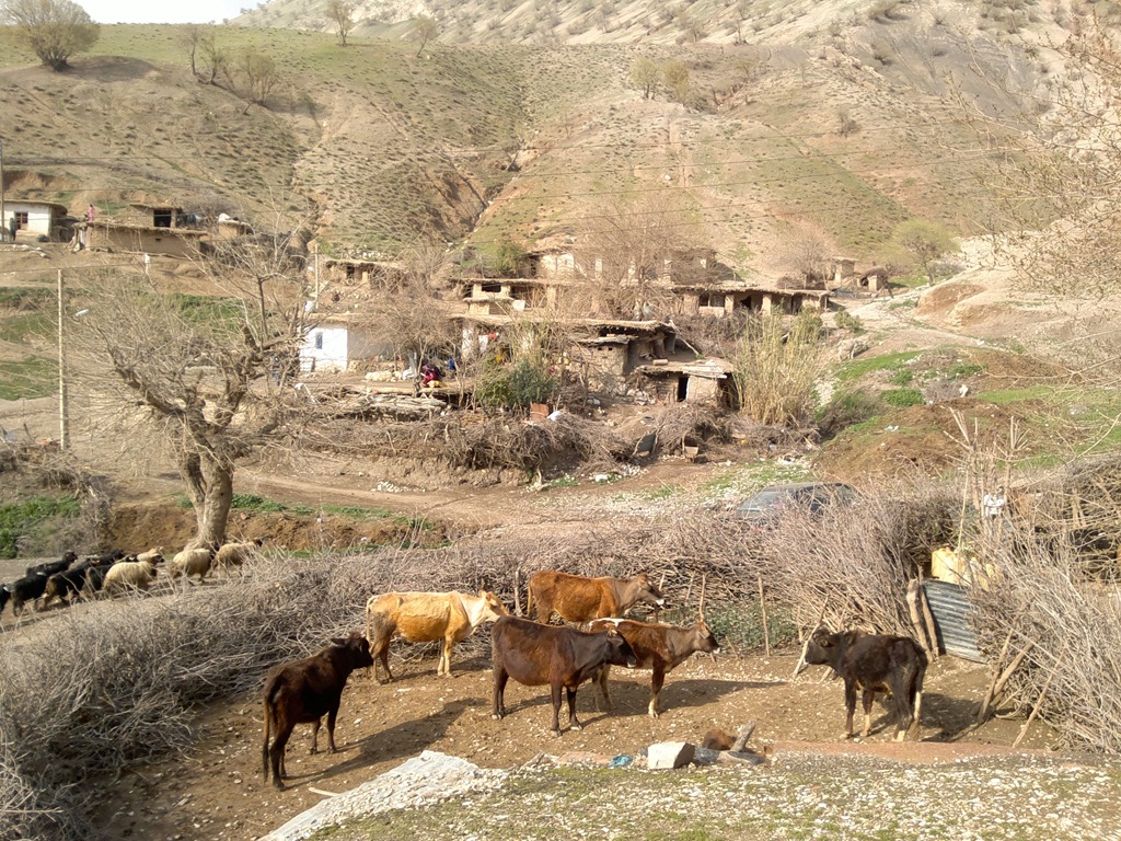 مشکلات روستای خیرآباد مهردشت از زبان دهیار