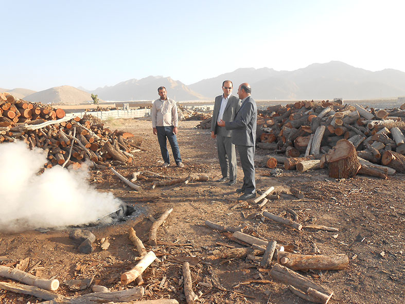 تخریب پنج چاه زغالی در نجف آباد
