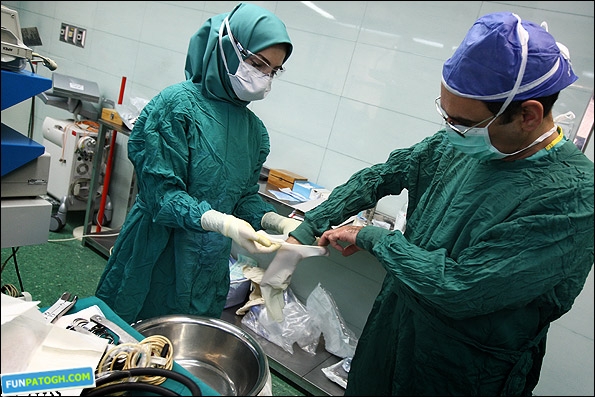 انجام ۳۷۰۰ عمل جراحی در بیمارستان فاطمه الزهراء نجف آباد