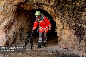 تمرین سگ های زنده یاب ایرانی و آلمانی در محدوده معدن سورمه نجف آباد
