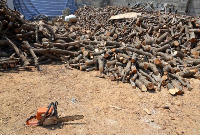 کشف ۴۰۰ کیلو چوب بلوط قاچاق در نجف آباد