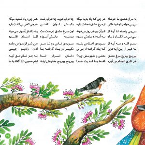 کتاب کودکانه چی میگن پرنده ها