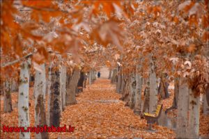 پاییز نجف آباد