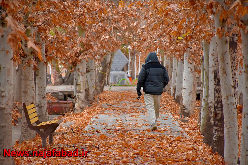پاییز در بوستان زندگی نجف آباد + تصاویر