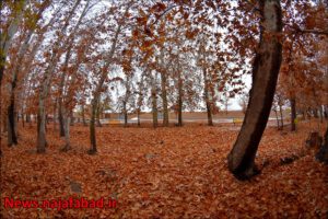 پاییز نجف آباد