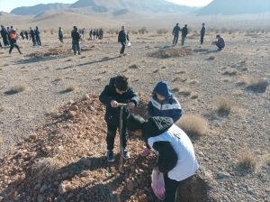 بذر کاری در 900 هکتار از اراضی نجف آباد توسط اعضای کنگره 60