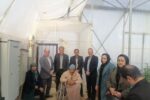 افتتاح ۱۱۰ طرح اشتغال بهزیستی نجف آباد+تصاویر