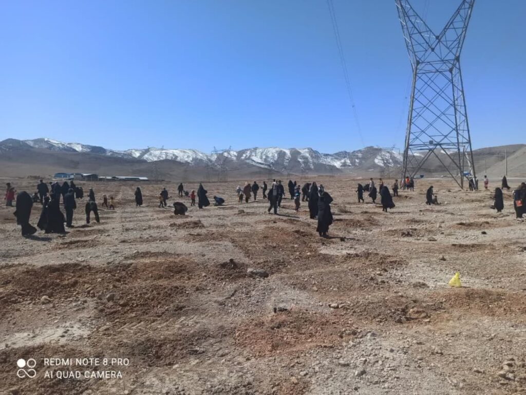 کاشت ۸ هزار نهال بادام اسکوپاریا در میانکوه جلال آباد