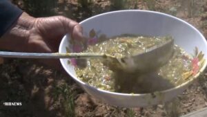 آش کلوچی نجف‌آباد