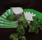 انتشار کتابی از روایت های بازگشت آزادگان نجف آباد