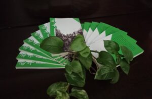 انتشار کتاب باغملی، کتابی از روایت های بازگشت آزادگان نجف آباد